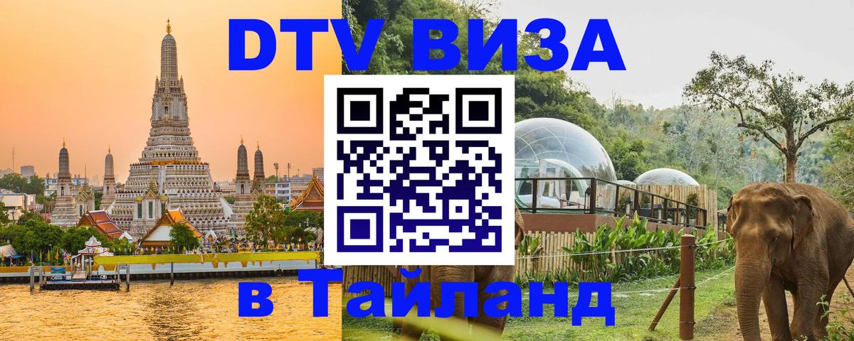 Сколько стоит DTV виза — актуальные цены, оформление даже без документов - 19.11.2025 